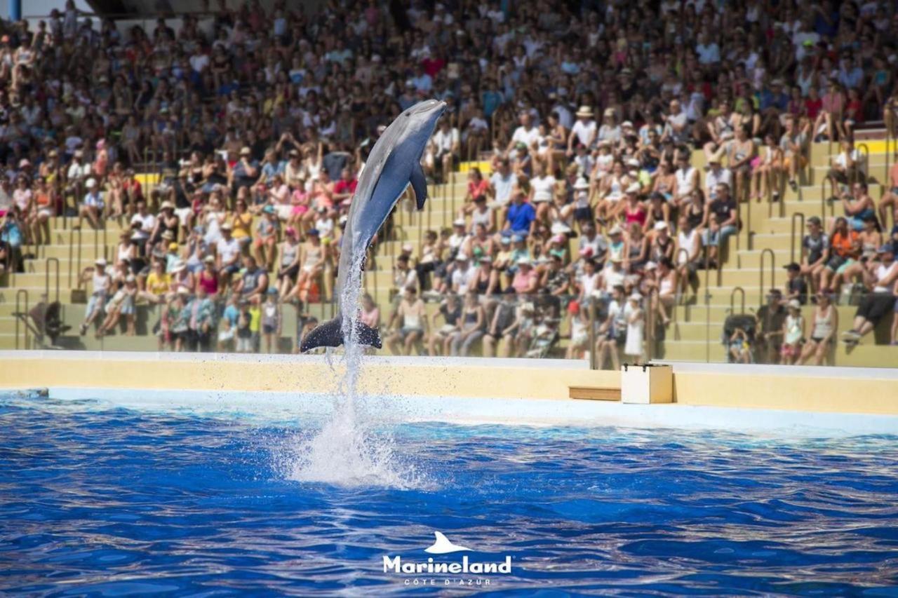 Appartement Marineland Sea View Antibes Kültér fotó