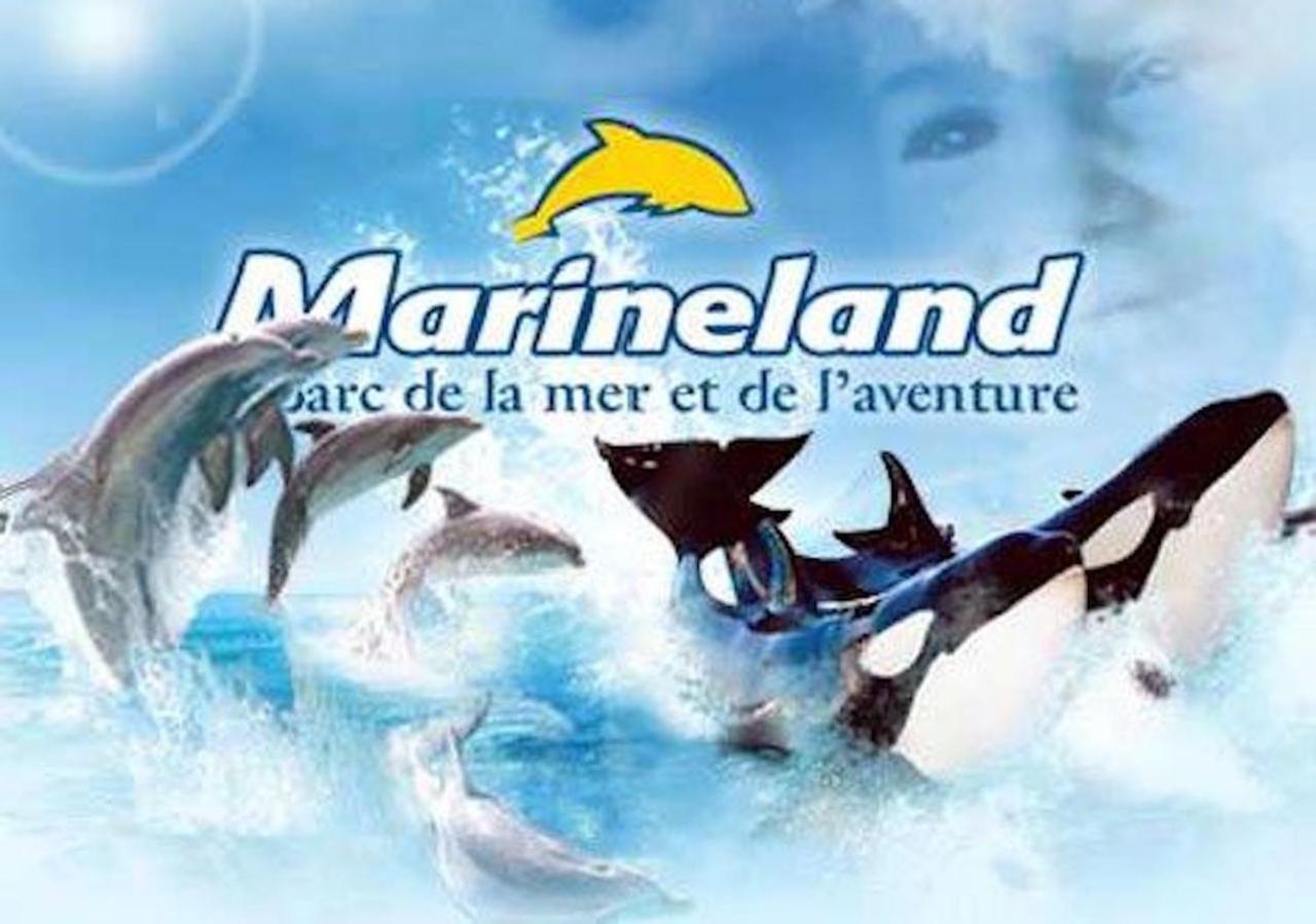 Appartement Marineland Sea View Antibes Kültér fotó